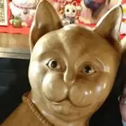 こ〜の画像