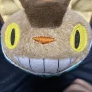 丸目マニヤ、