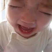 なっちくんの画像