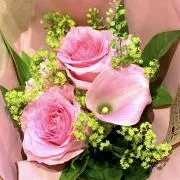 jasminの画像