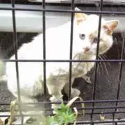 まさの画像