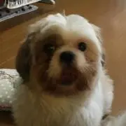 Kouji Kumagaiの画像