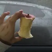 さきの画像
