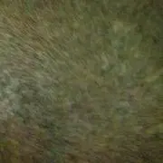 やま  複数購入値引き