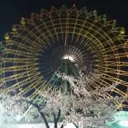 メロン