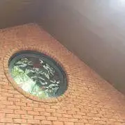 うさぎの画像