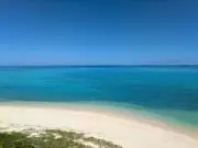 イロイロの画像