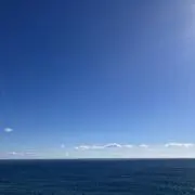 マルルの画像