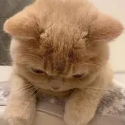MYの画像