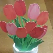 しょうこ