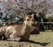 片付け続行中の画像