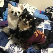 ☆るるららまま☆の画像