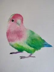 かまと