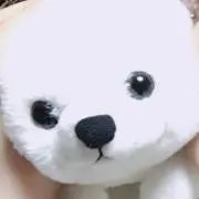 lulu