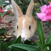 ふみゆ※まとめ買いはコメント下さいの画像