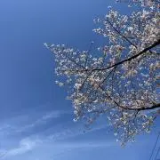 ちゃん☆おまとめ申請大歓迎⭐︎の画像