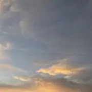 芭恋の画像