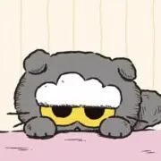 涼の画像