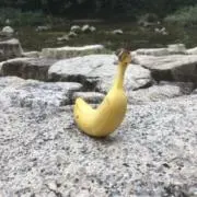 バナナの画像