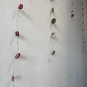 あちゃこの画像