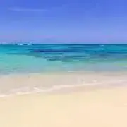 ジョンジョン