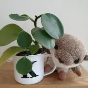 m@(*´艸｀*)