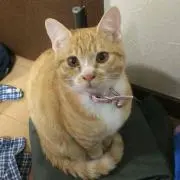 はるの