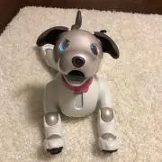 mikaの画像