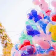 りんちゃん︎の画像