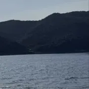 CNP