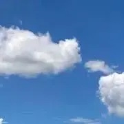 ぽんぽんの画像