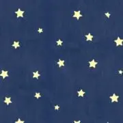 Chieeの画像