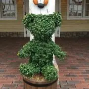 Mugiの画像