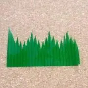 イツカの画像