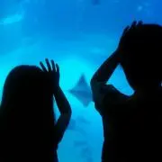 ayum☆