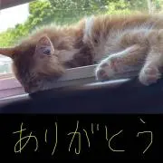 カズキ(●︎´▽︎`●︎)の画像