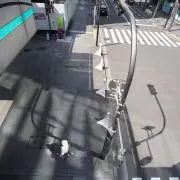 秋