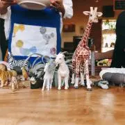 たかの画像
