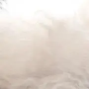 aaaの画像