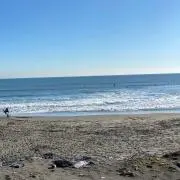 まーの画像