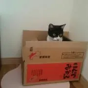 まらぽん