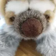 ぱーちゃんの画像