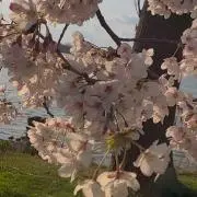 みき
