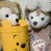 ピオニー12世