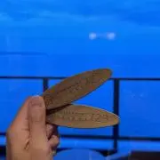 HUMAN MADE カバーオール ヒッコリー ショールカラー ステンシル