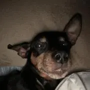 ヒロシ