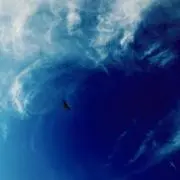 reoの画像
