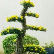 ARIAMの画像