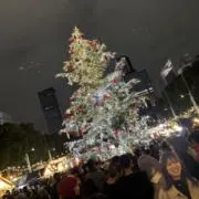 そーたの画像