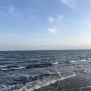 Sanseaの画像